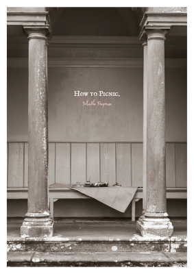 How to Picnic._20250819_152838_0000