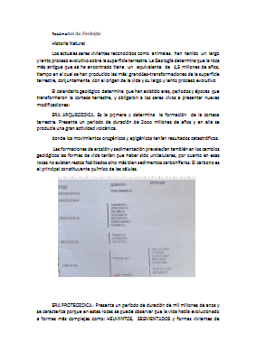 REsumenes zoologia para 25-26