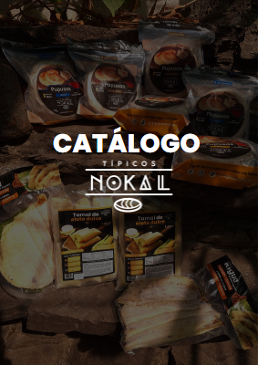 Catálogo Típicos Nokal-Houston  (2)