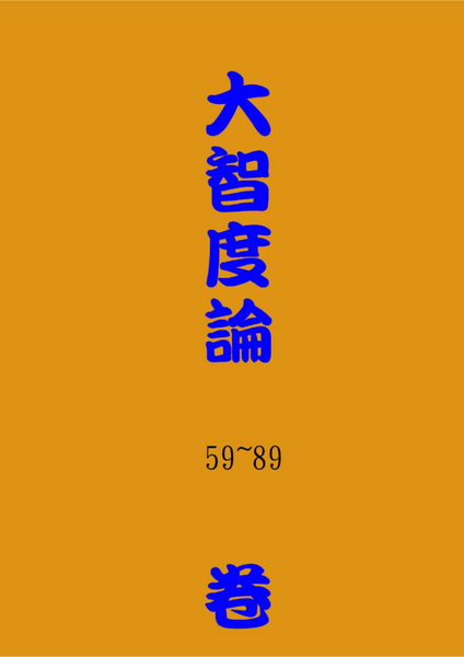 大智度論59~89卷.pdf