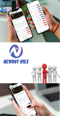 NEWRGY PDF
